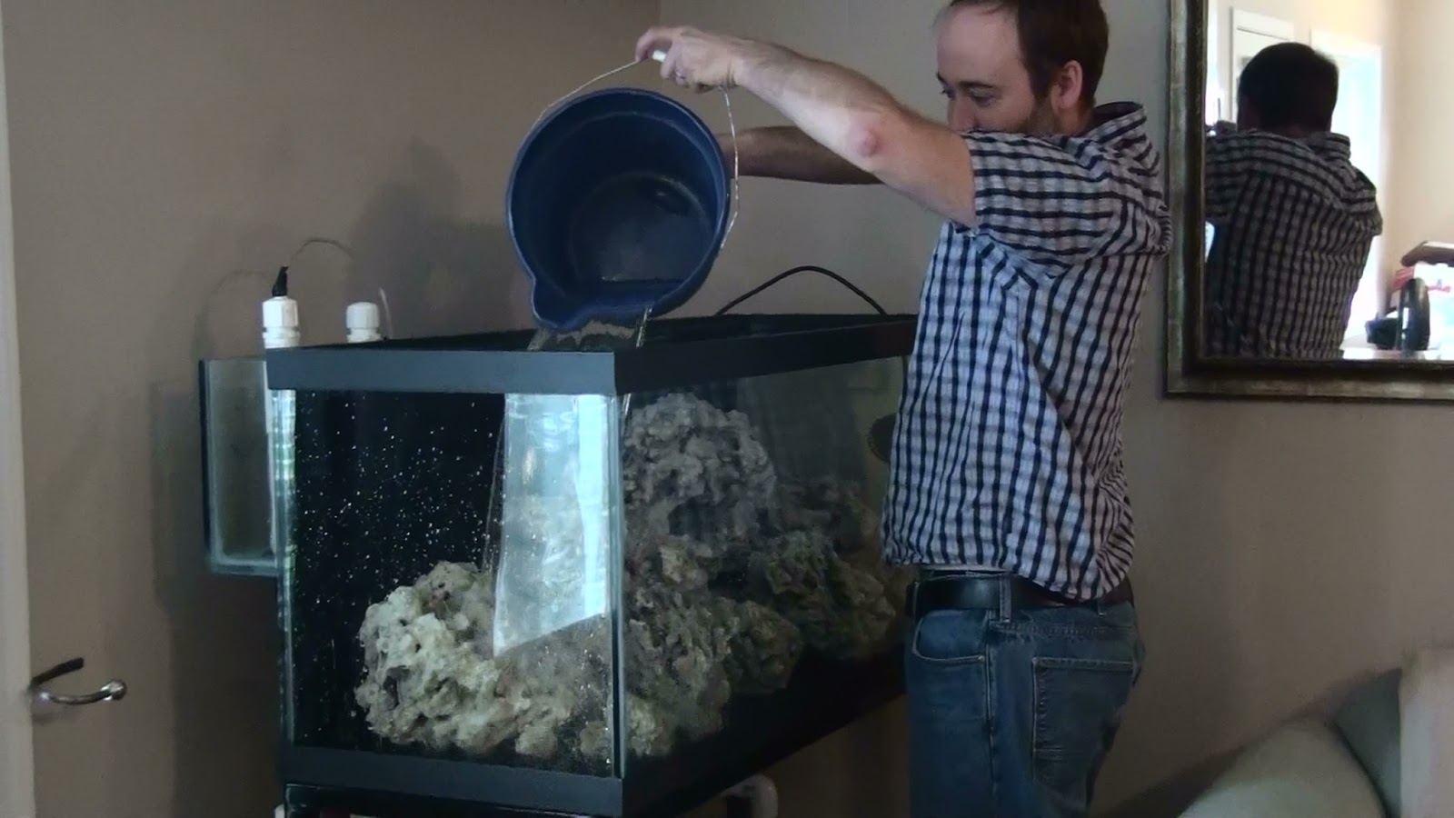 Сколько отстаивать воду для аквариума и как отстаивать воду