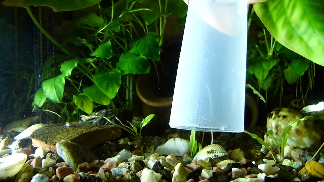 Как ухаживать за аквариумом с рыбками